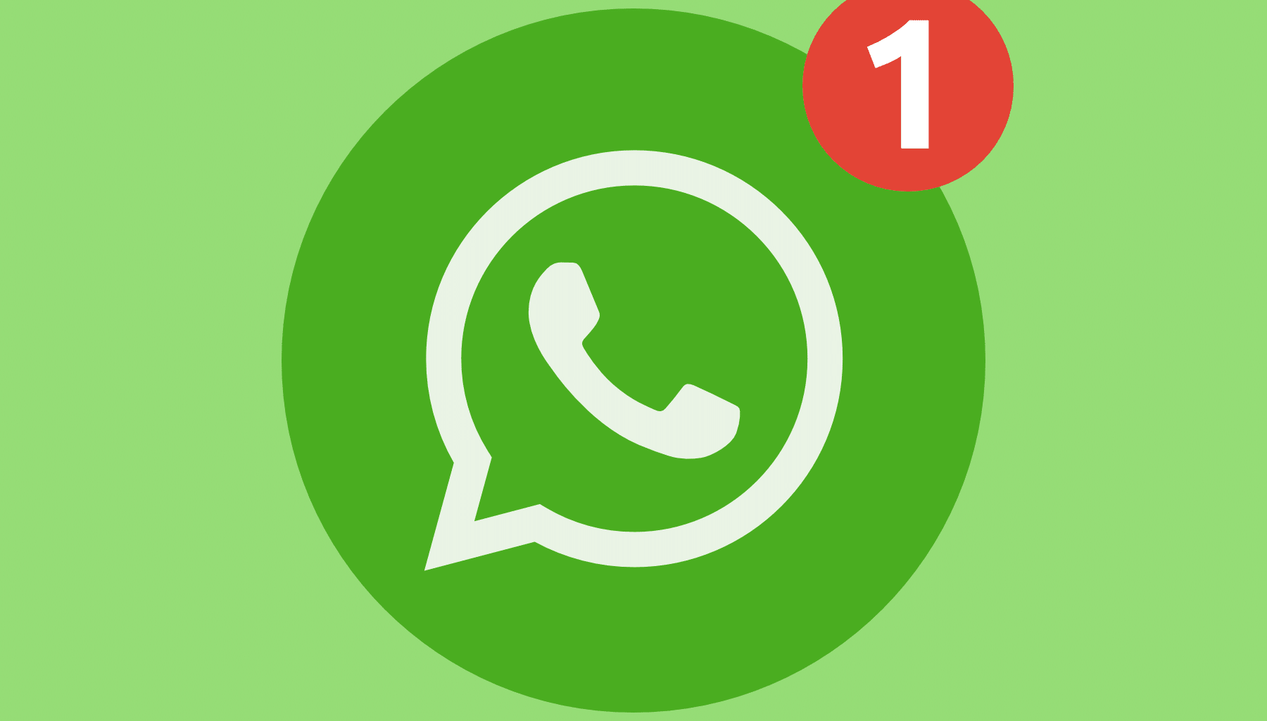 Irish WhatsApp screening software